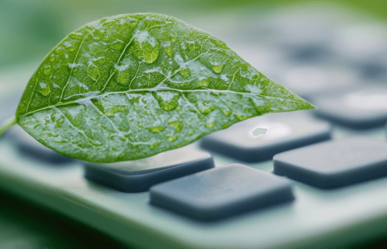 Kalkulator i zielone liście symbolizujące finansowanie środowiskowe